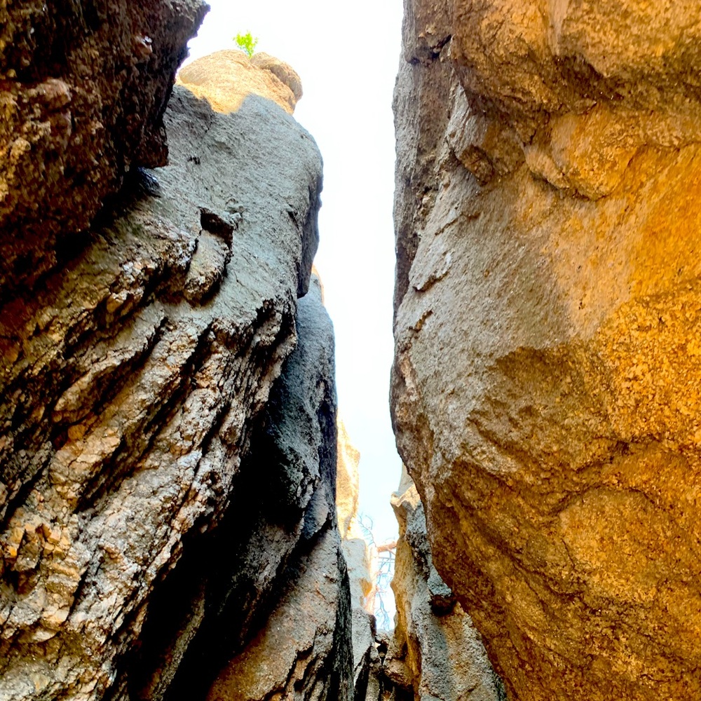 Meet your Posher, Paulette